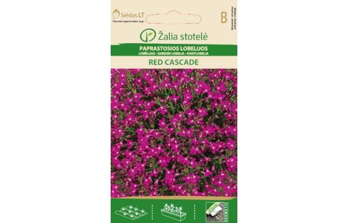 LOBELIJOS PAPRASTOSIOS RED CASCADE