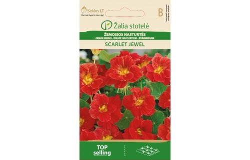 NASTURTĖS ŽEMOSIOS SCARLET JEWEL