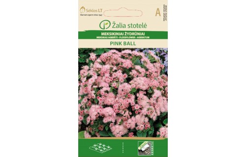 ŽYDRŪNIAI MEKSIKINIAI PINK BALL