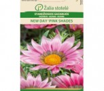 STANDŽIOSIOS GAZANIJOS NEW DAY®PINK SHADES