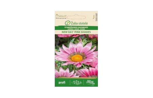 STANDŽIOSIOS GAZANIJOS NEW DAY®PINK SHADES