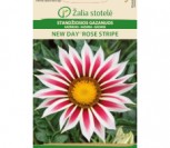 STANDŽIOSIOS GAZANIJOS NEW DAY®ROSE STRIPE