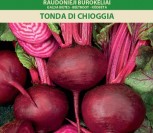 RAUDONIEJI BUROKĖLIAI TONDA DI CHIOGGIA