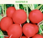 VALGOMIEJI RIDIKĖLIAI KASPAR H