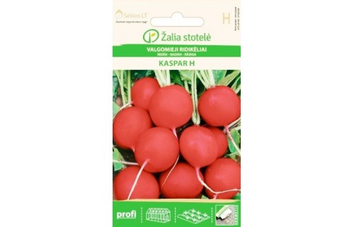 VALGOMIEJI RIDIKĖLIAI KASPAR H