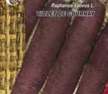 VALGOMIEJI RIDIKAI VIOLET DE GOURNAY