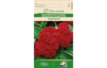SKIAUTERĖTOSIOS CELIOZIJOS  TOREODOR