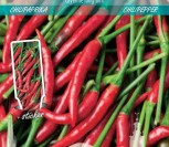 VIENAMETĖS PAPRIKOS CAYENNE LONG SLIM aštri