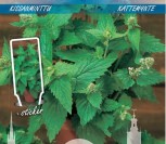 PAPRASTOSIOS KATŽOLĖS CITRININĖS    
