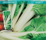 LAPINIAI BUROKĖLIAI VERDE A COSTA BIANCA     