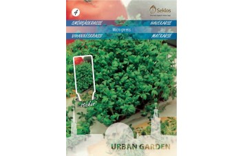 SĖJAMOSIOS PIPIRNĖS MICRO GREENS   