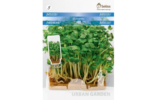 BROKOLIAI MICRO GREENS              