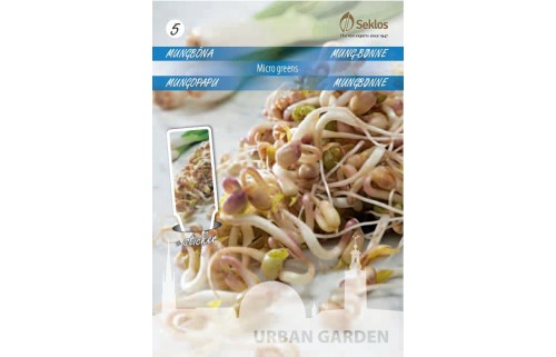  SPINDULINĖS PUPUOLĖS  MICRO GREENS   