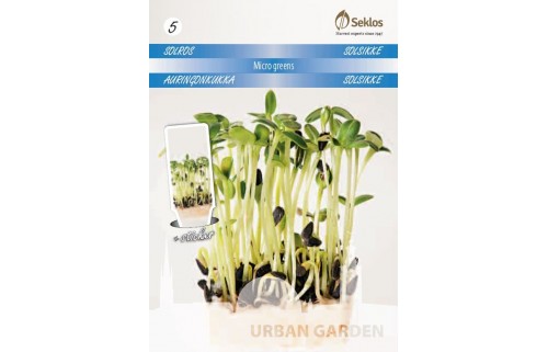 SAULĖGRĄŽOS MICRO GREENS            