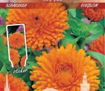 VAISTINĖS MEDETKOS ORANGE GITANA    