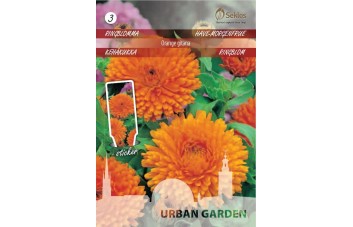 VAISTINĖS MEDETKOS ORANGE GITANA    