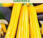 CUKINIJOS SUNSTRIPE H