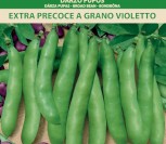 DARŽO PUPOS EXTRA PRECOCE A GRANO VIOLETTO