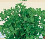 VALGOMIEJI SALIERAI AFINA