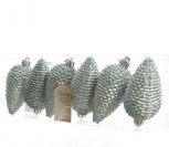 KONKORĖŽIAI ŽALSVI 028604 6VNT 5x8CM