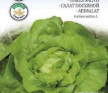 SĖJAMOSIOS SALOTOS KAGRANER SOMMER 2