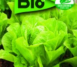 SĖJAMOSIOS SALOTOS VERDE DEGLI ORTOLANI  