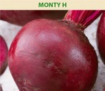 RAUDONIEJI BUROKĖLIAI MONTY H