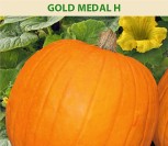 MOLIŪGAI GOLD MEDAL H