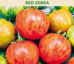 VALGOMIEJI POMIDORAI RED ZEBRA