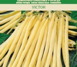 ŽEMAŪGĖS DARŽINĖS PUPELĖS VICTOR