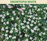 ŠIRDIŠKOSIOS SUTEROS (BAKOPOS) SNOWTOPIA WHITE