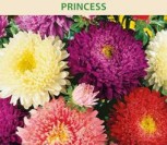KININIAI RATILIAI  PRINCESS