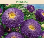 KININIAI RATILIAI PRINCESS