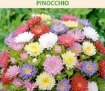 KININIAI RATILIAI  PINOCCHIO