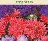 KININIAI RATILIAI ŽEMAŪGIAI TEISA STARS