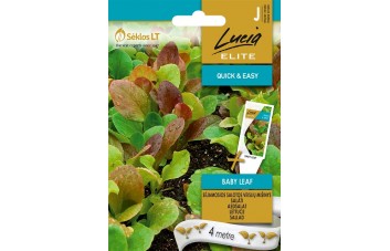 SĖJAMOSIOS SALOTOS BABY LEAF