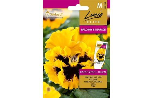 DARŽELINĖS NAŠLAITĖS FRIZZLE SIZZLE H YELLOW