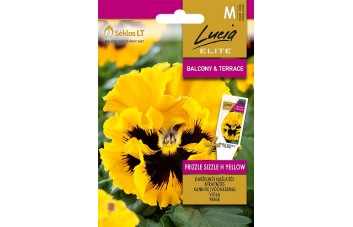 DARŽELINĖS NAŠLAITĖS FRIZZLE SIZZLE H YELLOW