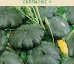 PATISONAI GREENDISC H