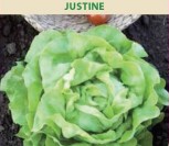 SĖJAMOSIOS SALOTOS JUSTINE