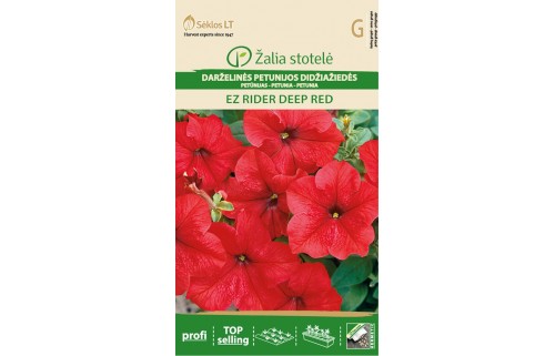 DARŽELINĖS PETUNIJOS DIDŽIAŽIEDĖS EZ RIDER DEEP RED