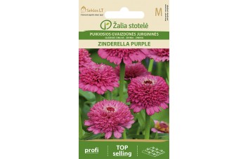 PUIKIOSIOS GVAIZDŪNĖS JURGININĖS ZINDERELLA PURPLE