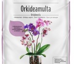 ORCHIDĖJŲ ŽEMĖ, 6 L