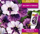 PETUNIJОS SHOCK WAVE® H PURPLE TIE DYE
