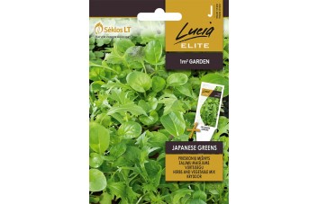 PRIESKONIŲ MIŠINYS JAPANESE GREENS
