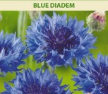 RUGIAGĖLĖS BLUE DIADEM