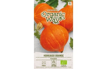 MOLIŪGAI HOKKAIDO ORANGE
