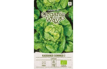 SĖJAMOSIOS SALOTOS KAGRANER SOMMER 2