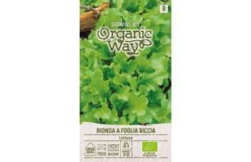 SĖJAMOSIOS SALOTOS BIONDA A FOGLIA RICCIA