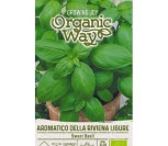 KVAPIEJI BAZILIKAI AROMATICO DELLA RIVIENA LIGURE
